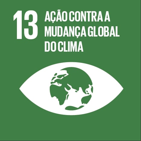 Logo ODS 13 Ação contra a mudança global do clima