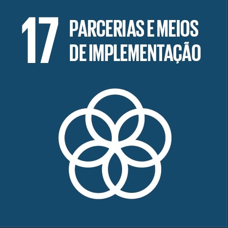 Logo ODS 17 Parcerias e meios de implementação