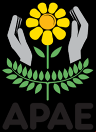 APAE - Associação de Pais e Amigos dos Excepcionais de Montes Claros