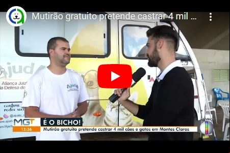 Mutirão de Castração
